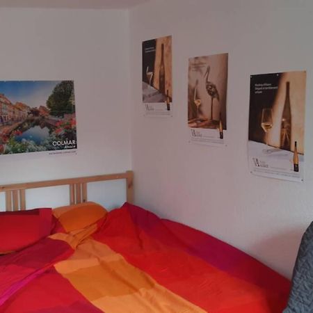 Gite De Benedicte Ancienne Douane Colmar Ngoại thất bức ảnh
