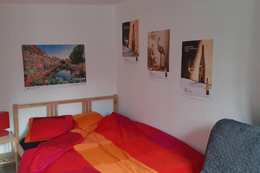 Gite De Benedicte Ancienne Douane Colmar Ngoại thất bức ảnh